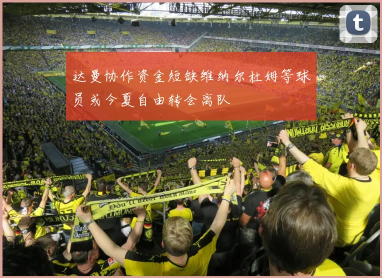 达曼协作资金短缺维纳尔杜姆等球员或今夏自由转会离队