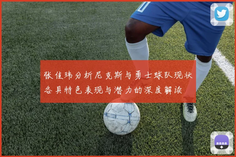 张佳玮分析尼克斯与勇士球队现状各具特色表现与潜力的深度解读